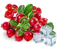 frozen cranberry