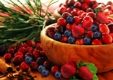 Forest and cultivated fruits 