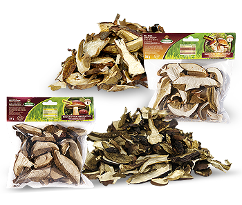 Dried mushrooms 