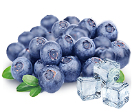 frozen blueberry