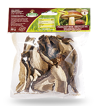 Bay Boletus dried